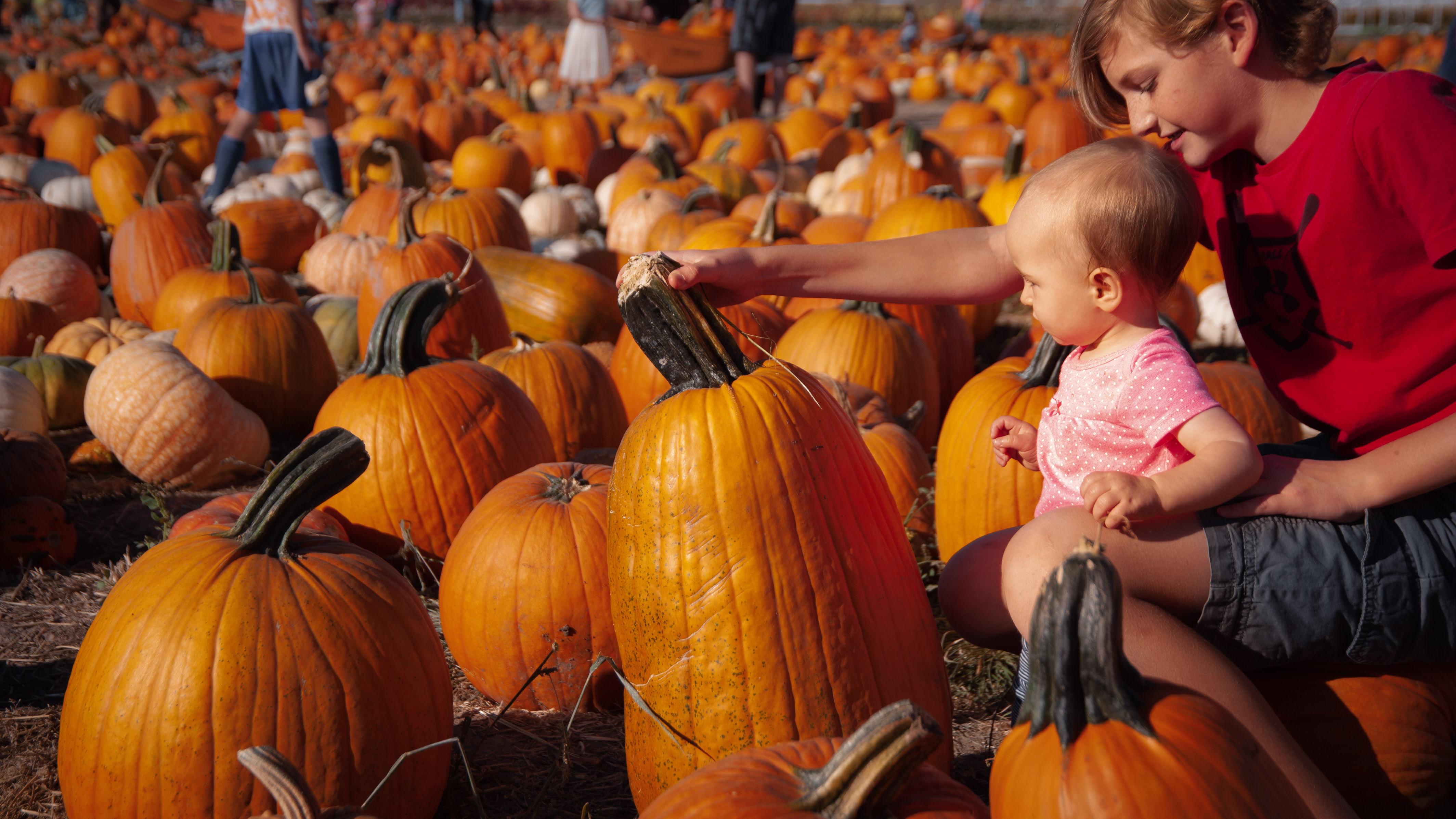 picture of Alec with Brooklyn in his lap showing her a pumpkin